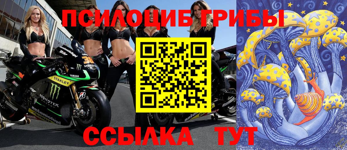 Псилоцибиновые грибы Psilocybe  купить закладку  Ногинск  Вход с VPN 
