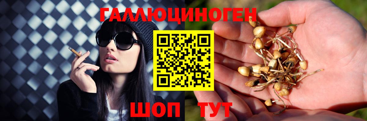 Галлюциногенные грибы мицелий Ногинск